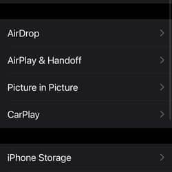 <em>Then click on iPhone Storage.</em>
