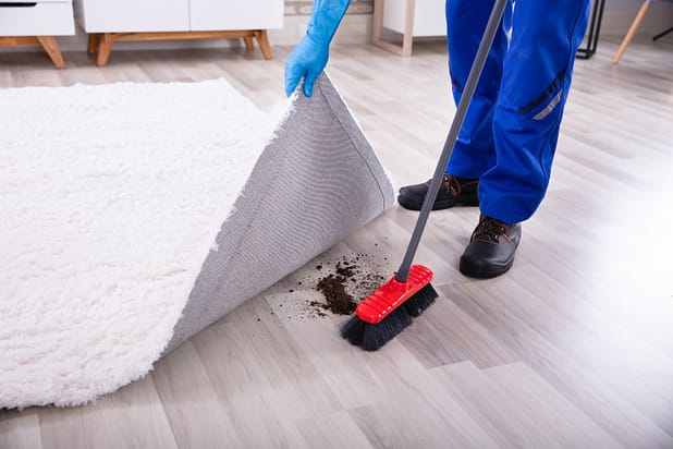 Lowsection View Of A Janitor Cleaning Dirt Under The Carpet With Mop