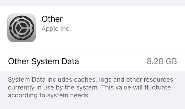 iPhone Other Storage