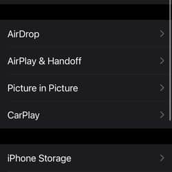 <em>Click on iPhone Storage under General.</em>