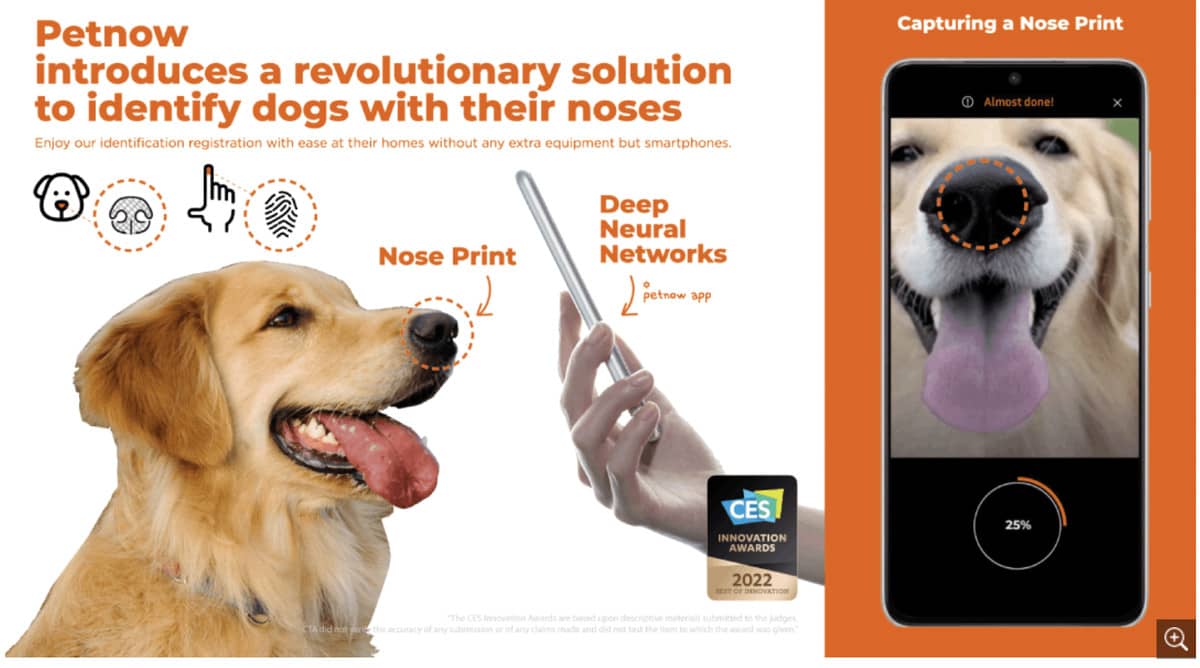 Pet now mobile app on a smartphone with a dog getting scanned with the phone on the left